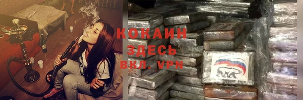 шишки Бронницы