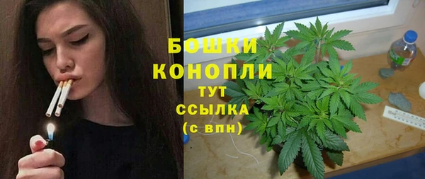 СК Бородино