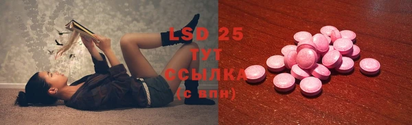 шишки Бронницы