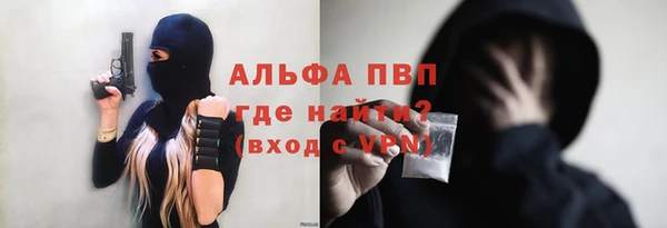 шишки Богородск