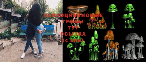 СК Бородино