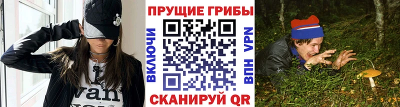Купить закладки  Керчь  Галлюциногенные грибы Cubensis 